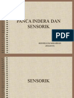 E - 011 - 2016210192 - Rendika Fajarrahman - Panca Indera Dan Sensorik