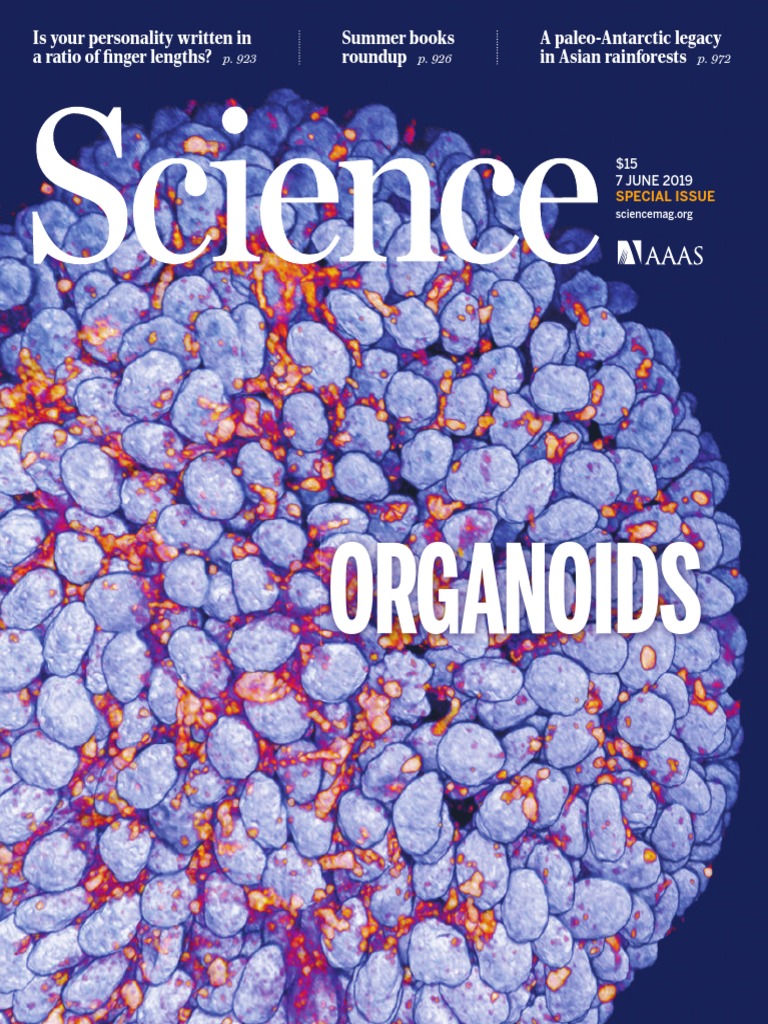 Science20190607-Dl Organoids | PDF | Mail | Dna Sequencing