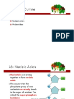 L6 Nucleic Acids Notes