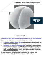 2b. Types of Egg and Cleavage