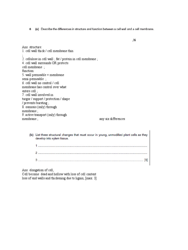 Differences Between Cell Wall and Membrane | PDF