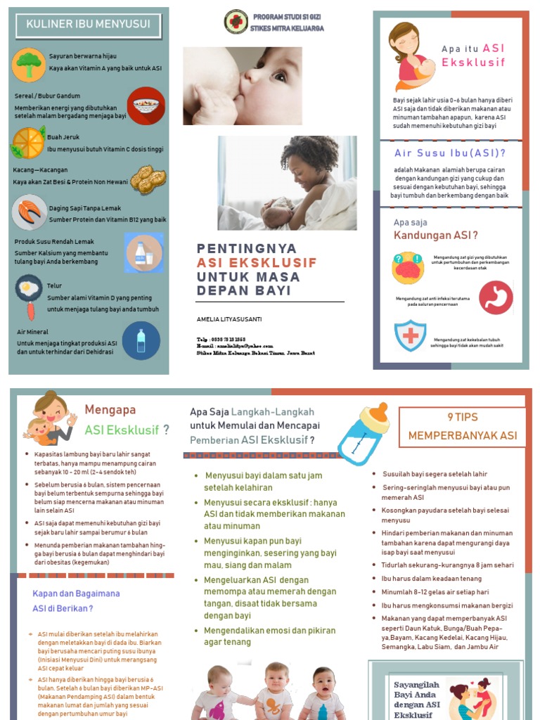 Leaflet ASI Eksklusif | PDF