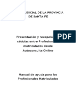 Presentación de Cedulas desde Autoconsulta - Manual de ayuda para profesionales matriculados v1