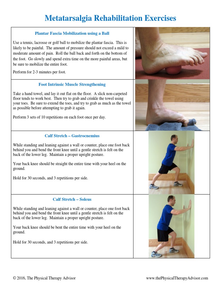 Metatarsalgia Rehabilitation Exercises, PDF, Foot