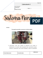 LABORATORIO Sistema Nervioso