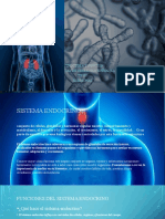 sistema endocrino