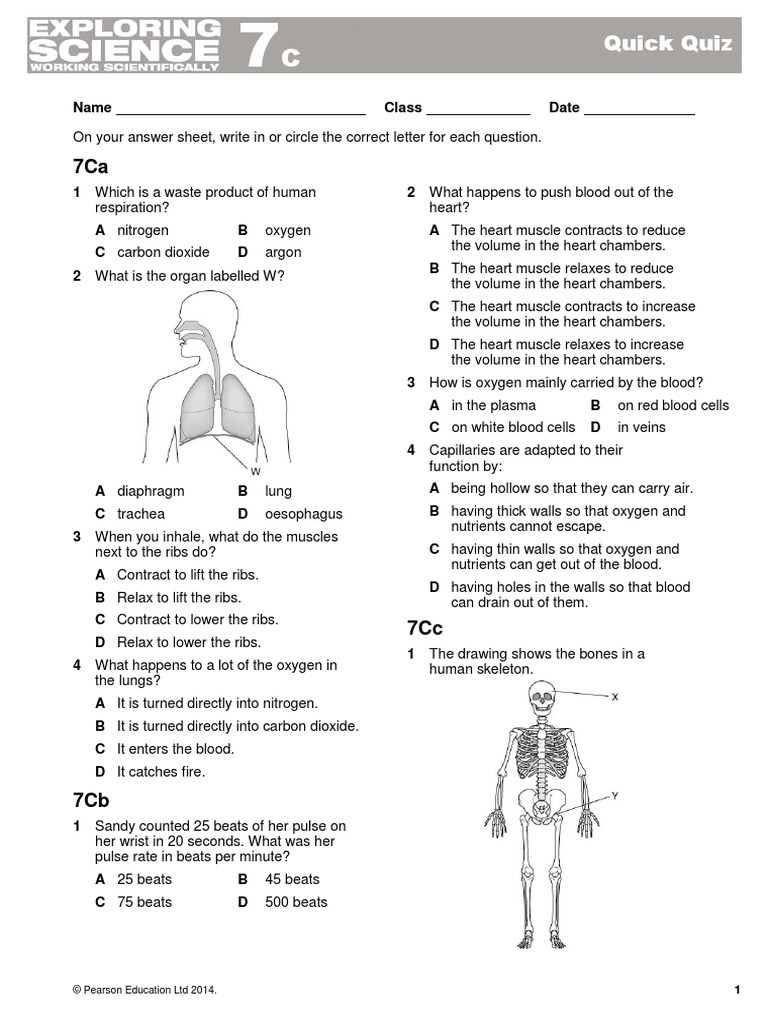 Y7 Science Homework T2 W3 | PDF | Heart | Blood