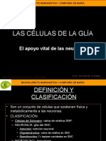 Celulas de La Glia MCM