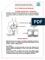 4 Ciencias Naturales 2p Quinto