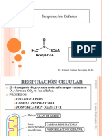 Conf 6 Bioenergetica y Respiracion Celular