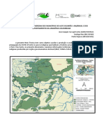 Perfil Indígena Dos Municípios Do Alto Solimões-Am-Brasil e Dos Departamentos Da Amazônia Colombiana