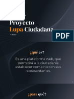 Proyecto Lupa Ciudadana (V. Beta 2)