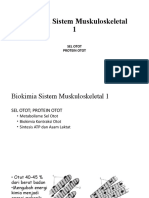 BLOK 3 - BIOKIMIA (Biokimia Sistem Muskuloskeletal 1)