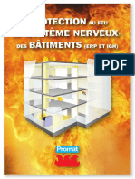 Systeme Nerveux