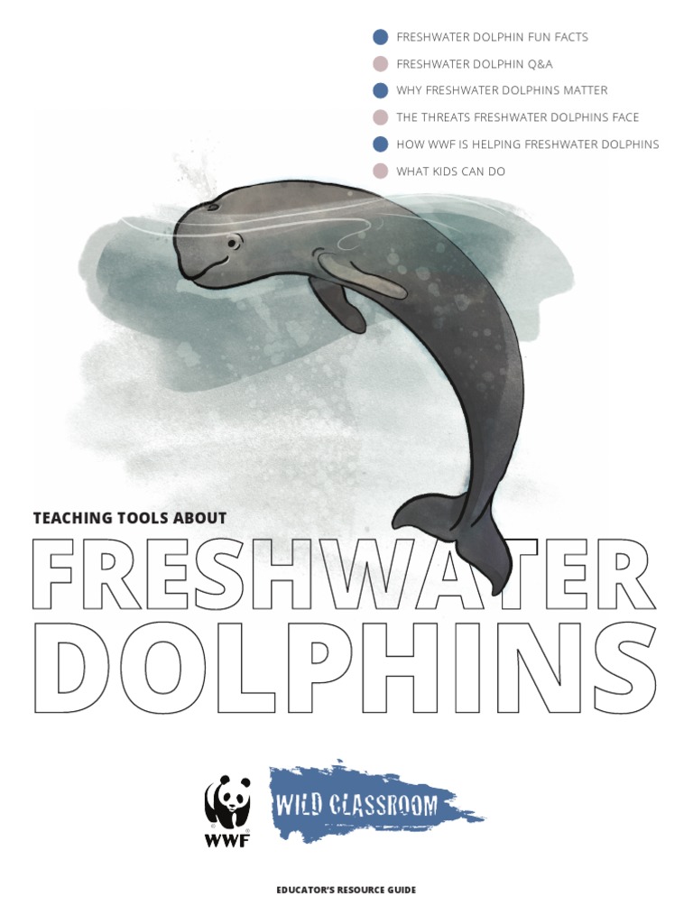 Educators ToolKit FRESHWATER DOLPHIN Revised | PDF | Dolphin | Wetland