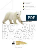 Polar Bears: Teaching Tools About