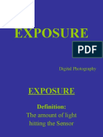 Digital Exposure (Factors)