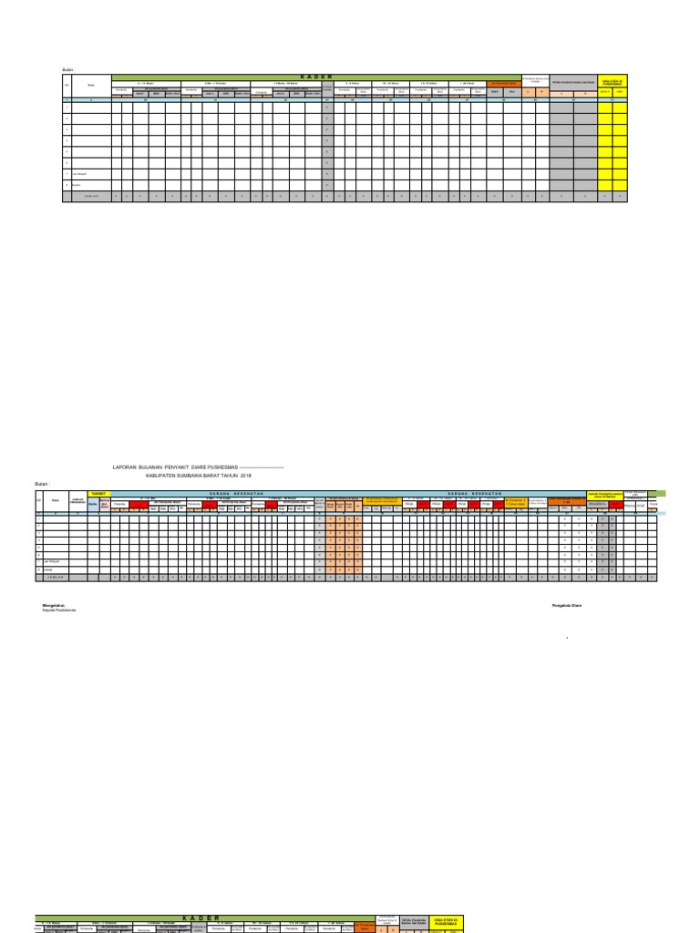 Laporan Diare Puskesmas - Format Baru | PDF