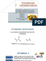 Vitaminas Hidrosolubles y Liposolubles - 3