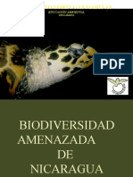 Biodiversidad en Nicaragua