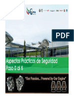 Aspectos_Practicos_SSEP Paso 0-6 2019 Actualizado