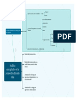 Modelos conceptuales de la perspectiva del ciclo vital en salud