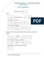 Ejercicios Resueltos Determinantes