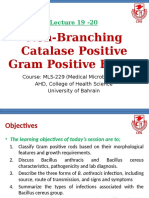 Lecture 19 - 20 Non Branching Gram Positive Bacilli (1) - Tagged