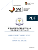 Informe de Prácticas Pre-Profesionales