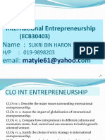 International Entrepreneurship Course Overview