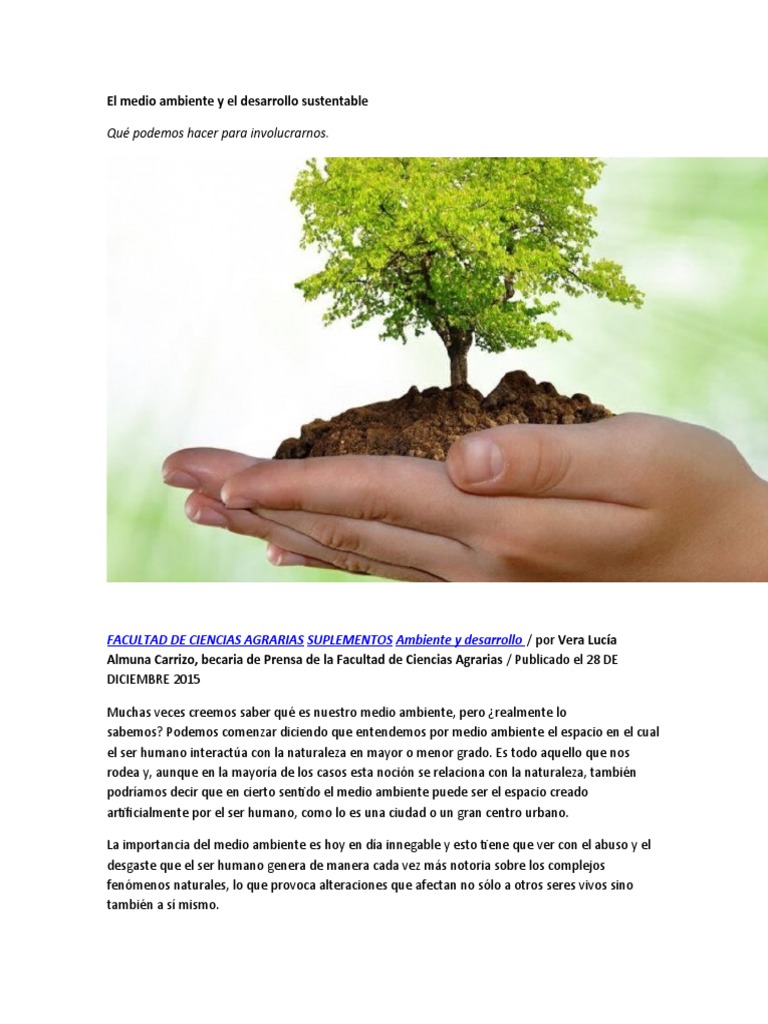 Medio Ambiente y Desarrollo Sustentable | PDF | Desarrollo sostenible ...