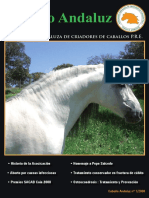 Caballo Andaluz Revista1 2008