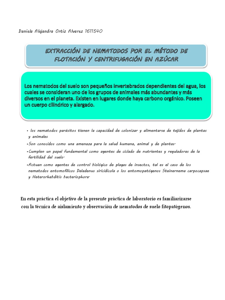 aislamiento-y-observaci-n-de-nematodos-pdf-nematodo-insectos