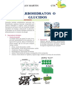 Carbohidratos 2do