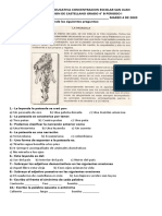 evaluacion de castellano Grado 4° B Periodo I marzo 4-2020