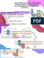 Proteina G  mecanismo de accion