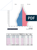 Calculo Piramides Poblacionales