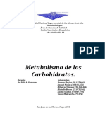 2do Año Sección 16 - Grupo 6 de Bioquímica - (Metabolismo de Los Carbohidratos)