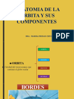 Anatomia de La Orbita y Sus Componentes.