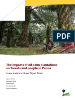The Impacts of Oil Palm Plantations On Forests and People in Papua