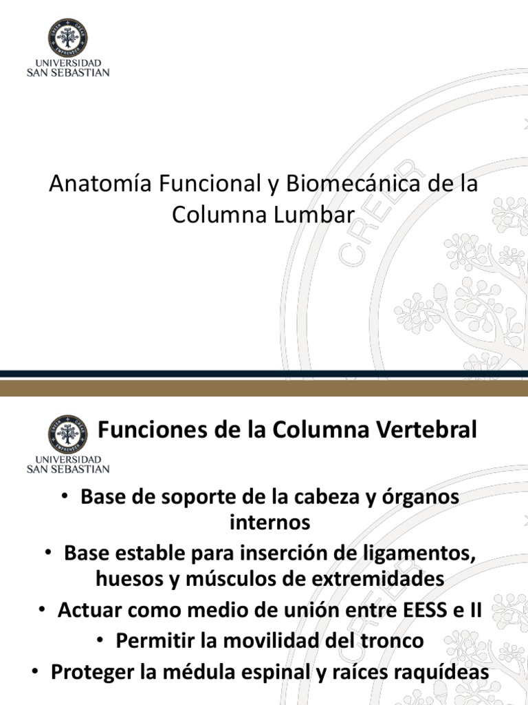 Biomecánica de la Columna Lumbar | PDF | La columna vertebral | Vértebra