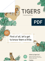 Presentation About Tigers