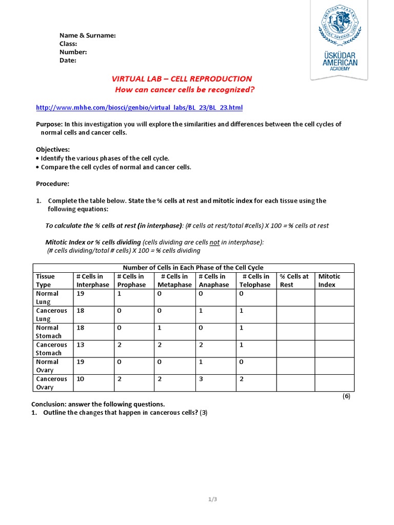 Virtual Lab-How Can Cancer Cells Be Recognized | PDF | Mitosis | Cell Cycle