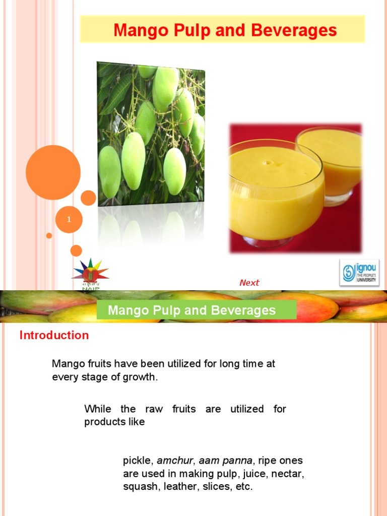 Mango Pulp Processing and Beverages | PDF | Drink | Juice