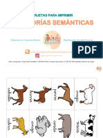 Tarjetas Categorias Semanticas