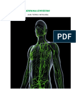 Sistema Linfatico (Histologia)