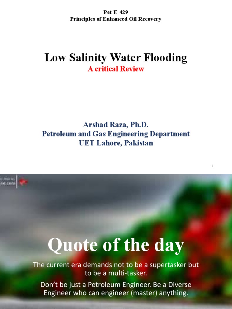 Low Salinity Water Flooding | PDF | Sodium Chloride | Extraction Of ...