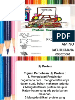 PROTEIN - PPTX (Autosaved)