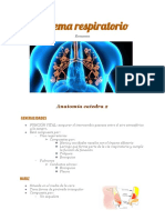 Resumen de Sistema Respiratorio