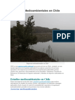 Empresas Medioambientales en Chile